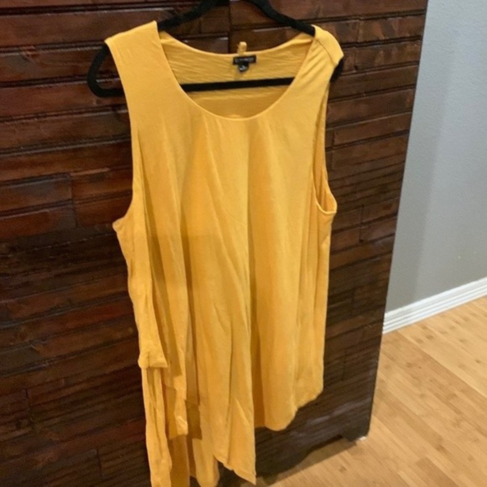 Sleeveless Tunic asymmetrical hem 1X New Directions